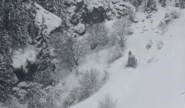 Artvin'de kar ulaşımı vurdu: 120 köy yolu kapalı