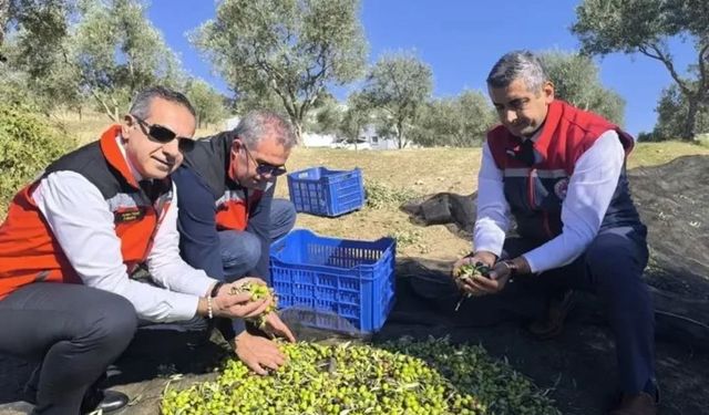 Aydın'da bir yılda 3 bini aşkın tarımsal denetim yapıldı