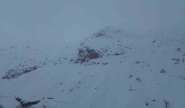 Batman'da ağıla çığ düştü: 45 küçükbaş hayvan telef oldu