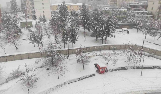Batman'da bir ilçede eğitime kar tatili