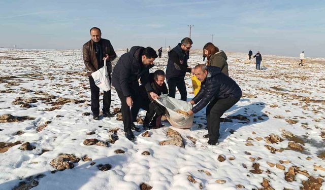 Batman'da yaban hayvanları için doğaya yem bırakıldı
