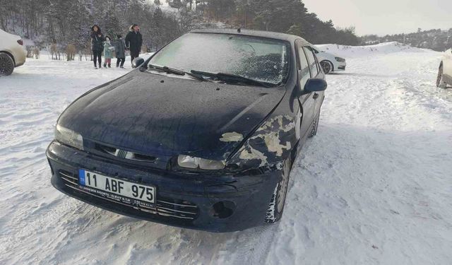 Bilecik'te kontrolden çıkan otomobil kazaya sebep oldu: 1 yaralı