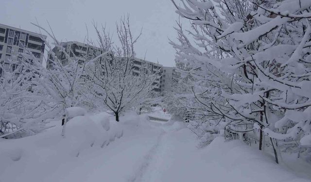 Bitlis'te kar esareti, 229 köy yolu ulaşıma kapalı