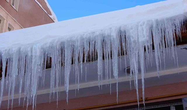 Bitlis'te kışa karşı geceli gündüzlü mücadele