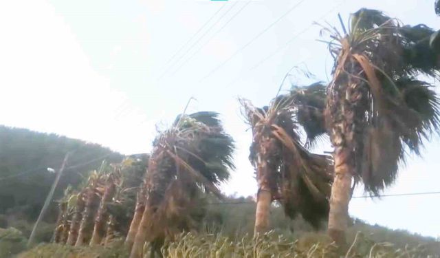 Bodrum, Datça ve Marmaris kıyılarına fırtına uyarısı