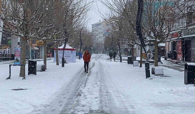 Bolu güne beyaz örtüyle uyandı