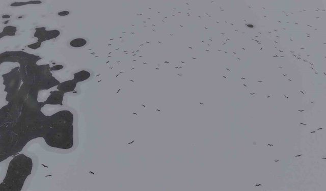 Cip Baraj Gölü buz tuttu