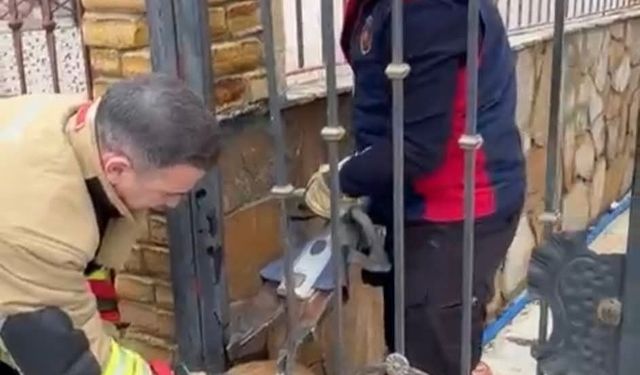 Demir korkuluklara sıkışan köpeği itfaiye kurtardı