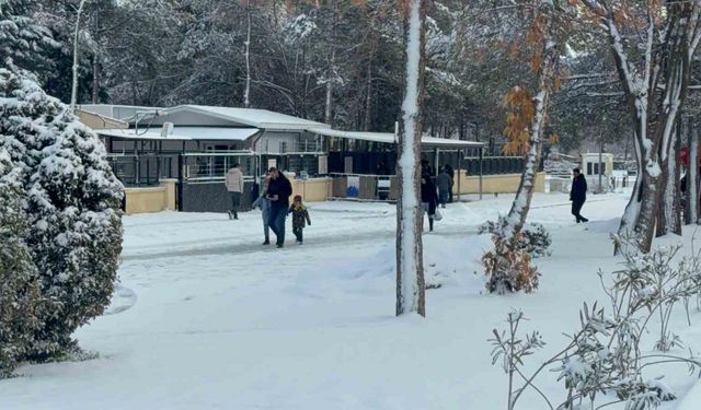 Diyarbakır'da kar yağışı çileye dönüştü