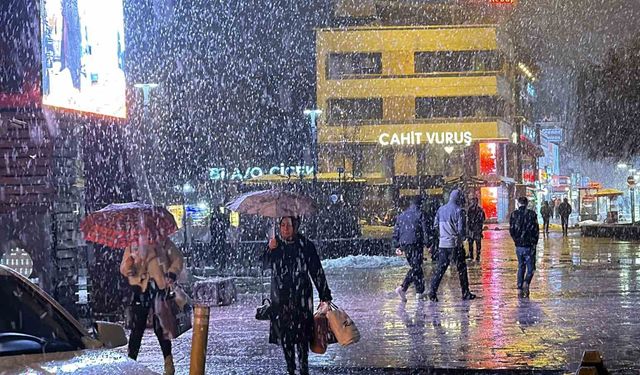 Düzce'de kar yağışı etkili oluyor