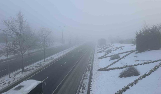 Düzce'de sis ve soğuk hava etkili oluyor
