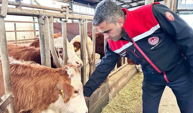 Erzurum'da 2025 yılında üreticiye güçlü destek