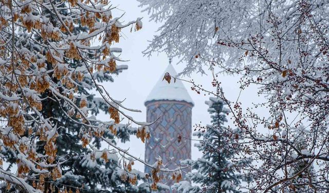 Erzurum'da buzlanma ve dona dikkat