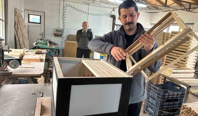 Futbolda rekabet arıcılara yansıdı; renkli kovanlar revaçta