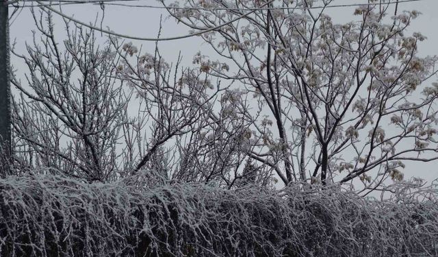 Gercüş beyaz örtüyle kaplandı