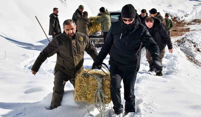 Gümüşhane'de aç kalan yaban hayvanları için seferberlik