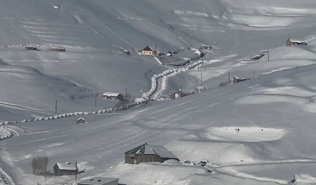 Hakkari kar yağışı: 51 yerleşim yerinin yolu kapandı