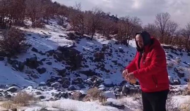 Kar yağışı Karacadağ'daki yaban hayatını zorladı