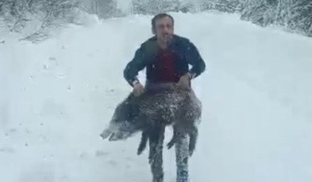 Karlı yolda domuzu elleriyle yakalayan adam konuştu: 'Bir anı olsun diye yakaladım, kimseye tavsiye etmem'