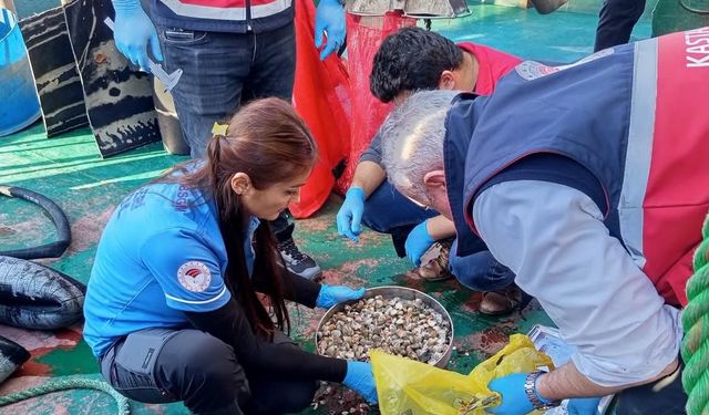 Kastamonu'da beyaz kum midyesi avcılığına yönelik denetimler sürüyor
