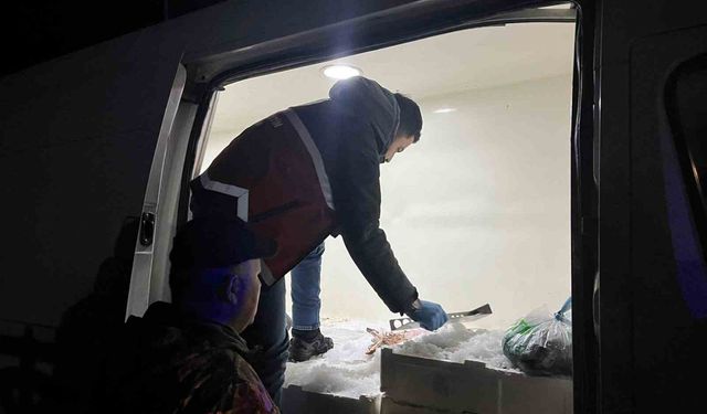 Kastamonu'da usulsüz avlanan 1 ton 335 kilogram balığa el konuldu