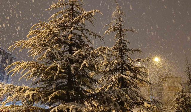 Kırşehir'de gece saatlerinde lapa lapa kar yağışı başladı