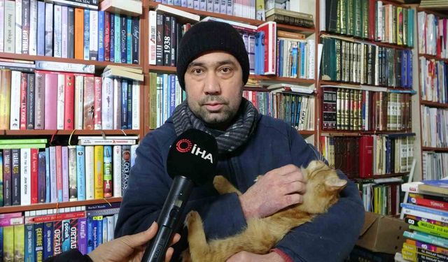 Konteynerde hayata tutunan sahaf, sokak kedilerini yalnız bırakmadı