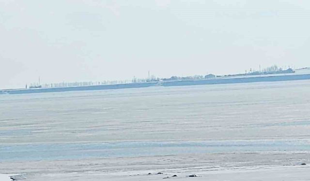 Kuş cenneti Arin Gölü kısmen dondu