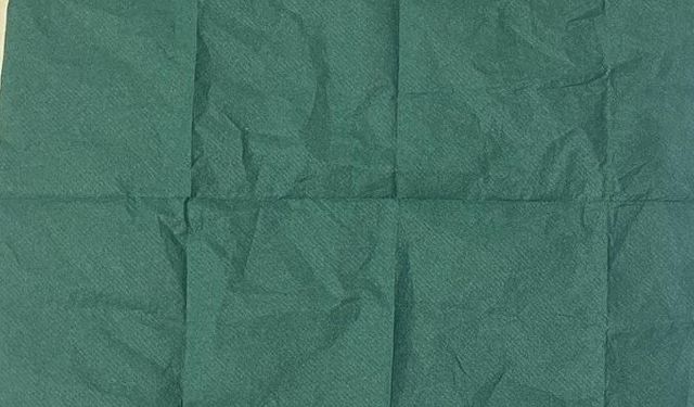 Manisa'da aranan şüpheliden 2 bin 500 içimlik uç bonzai çıktı