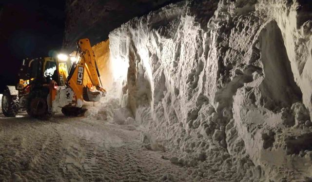 Meteorolojiden 4 il için çığ uyarısı
