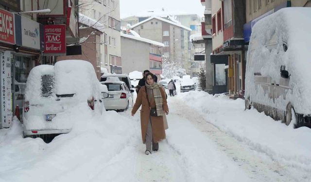 Muş'ta yoğun kar yağışı hayatı olumsuz etkiledi