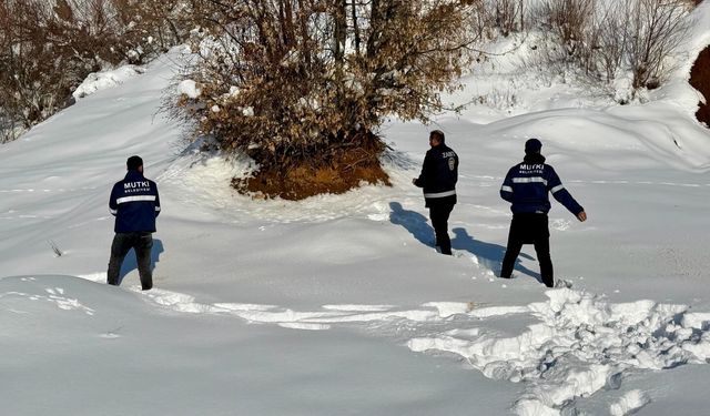 Mutki Belediyesi zorlu kış şartlarında yaban hayatını unutmadı