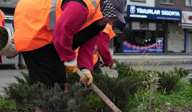 Park ve yeşil alanlarda peyzaj çalışmaları sürüyor