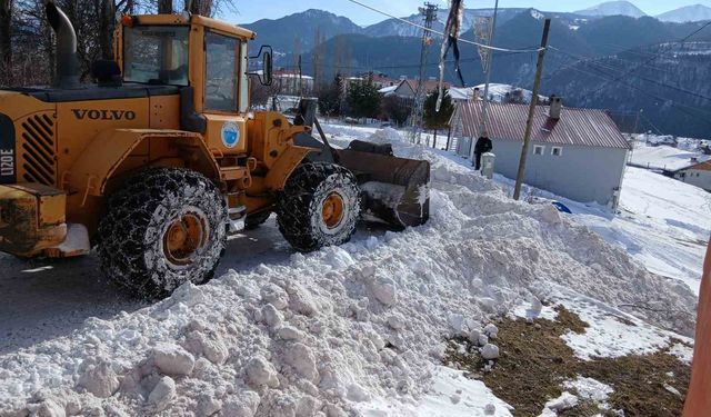 Posof'ta karla mücadele çalışmaları başladı
