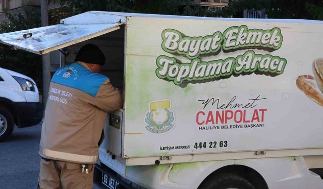 Şanlıurfa'da 24 ton ekmek israfını önlendi