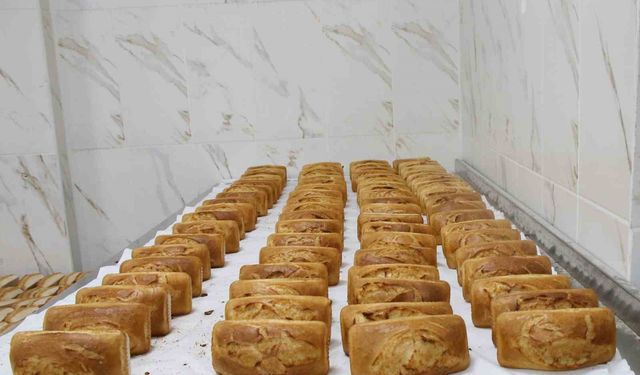 Şanlıurfa'da 700 bin glutensiz ekmek desteği