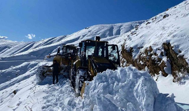 Sason'da 392 kilometrelik yol ağı kardan temizlendi