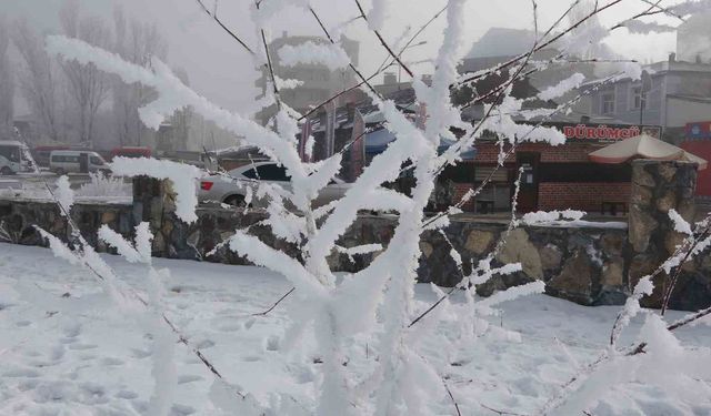 Sibirya soğukları hayatı olumsuz etkiliyor