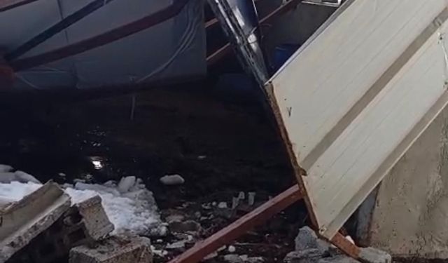 Siirt'te 5 buzağı çöken çatının altında kalarak telef oldu