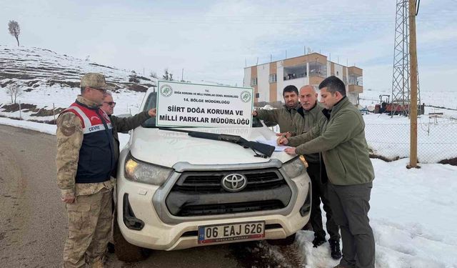 Siirt'te kaçak avlanan şahsa 19 bin lira ceza