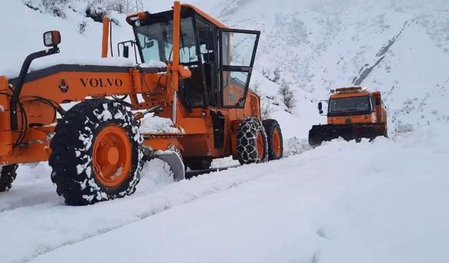 Şırnak'ta karlı yollar ulaşıma açılıyor