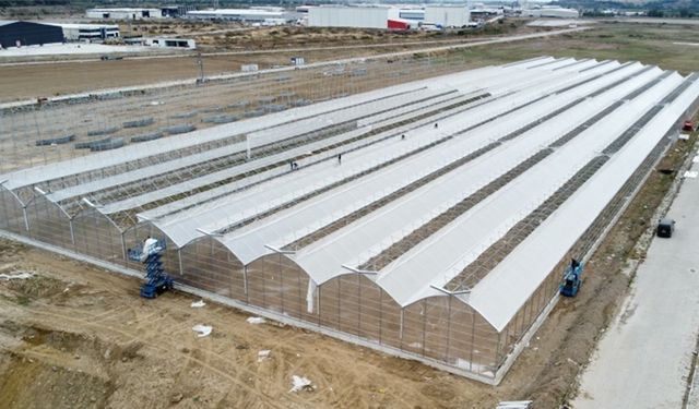 TKDK'dan 2025'te 61 projeye 123 milyon TL hibe