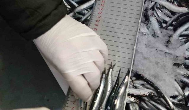 Trabzon'da 2025 yılında su ürünleri denetimlerinde 43 kişiye 3,2 milyon TL para cezası