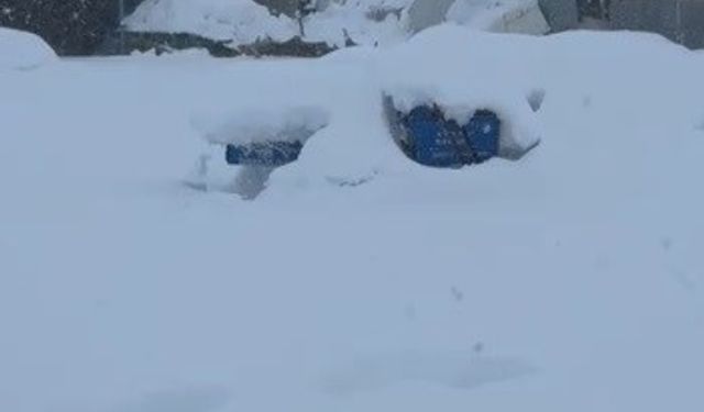 Tunceli'de kar yüküne dayanamayan iş yerinin çatısı çöktü