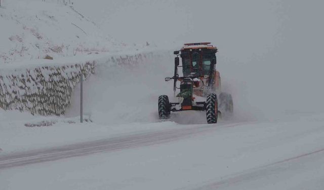 Van'da kardan dolayı kapanan 287 yoldan 89'u açıldı