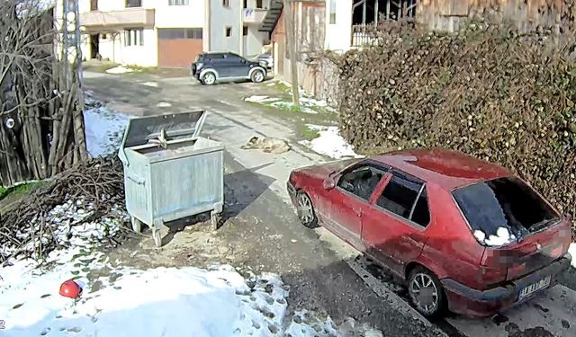 Yolda yatan köpeği ezip, yoluna devam etti