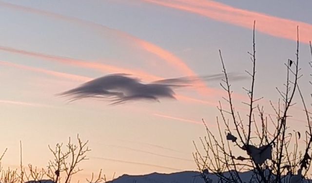 Yüksekova'da gökyüzünde doğa şöleni: Bir bulut onlarca silüet