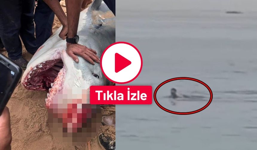 Shark Attack Caught on Camera at the Beach. Russian Tourist Fatally Injured