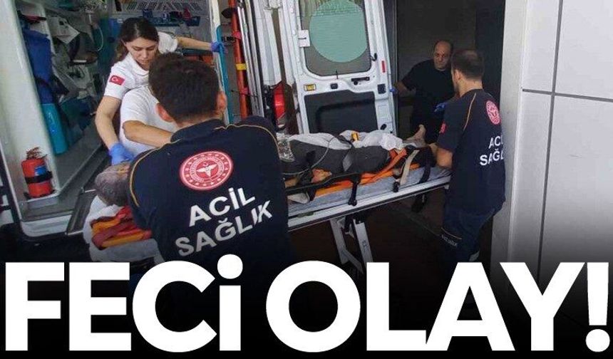 Ağaçtan düştü, feci şekilde hayatını kaybetti