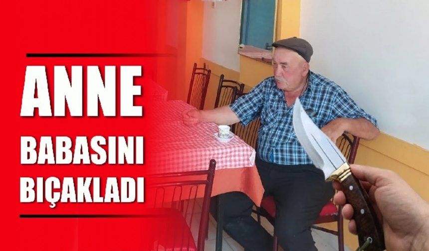 Tartıştığı Anne ve Babasını Bıçakla Yaraladı